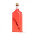 Plastic- Bottle for a Letter - RED